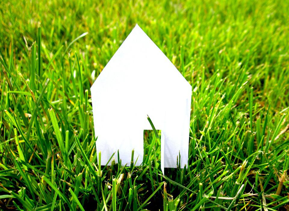 Domček, tráva